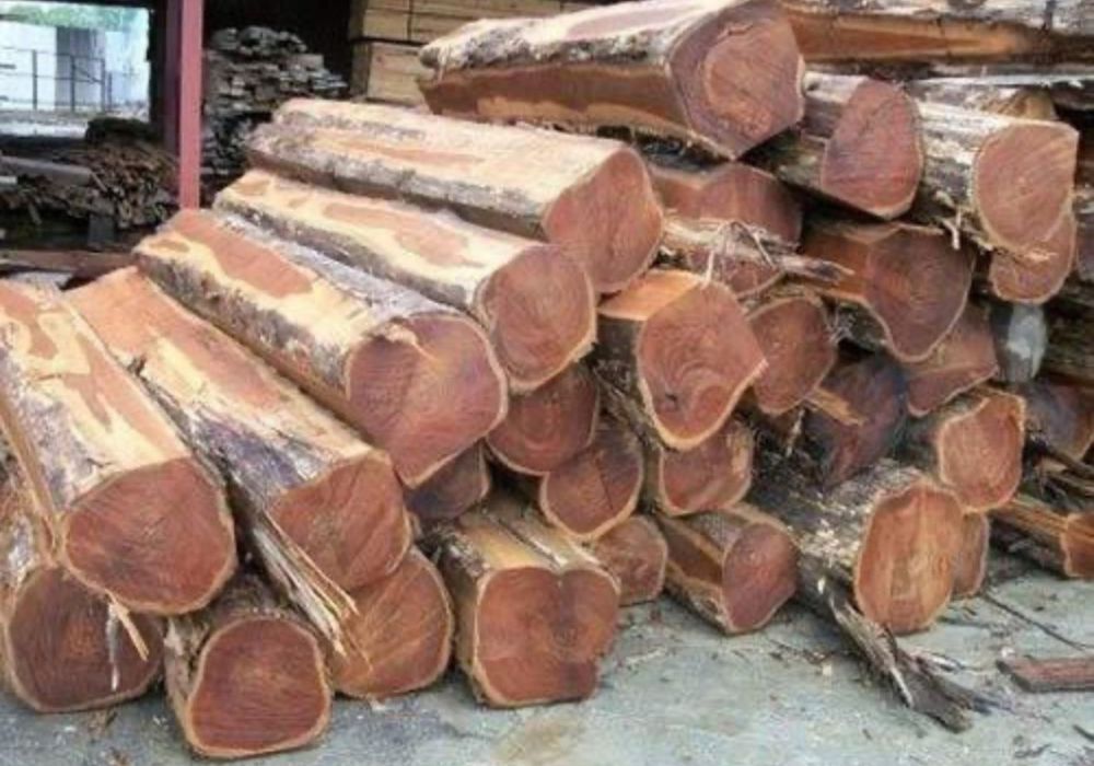 Teak square log