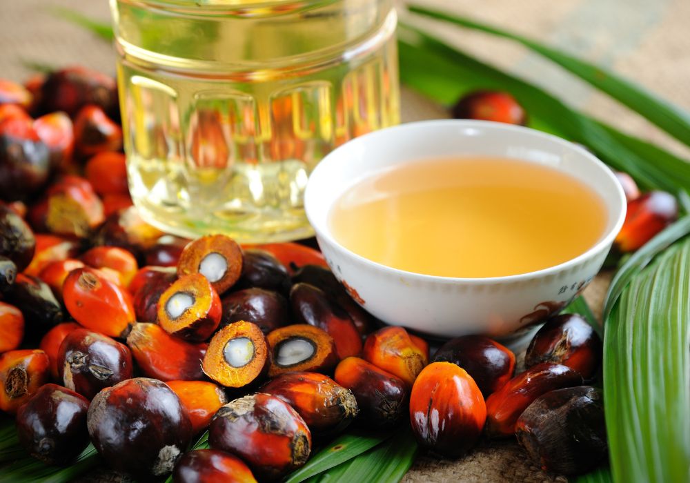Palm Oil