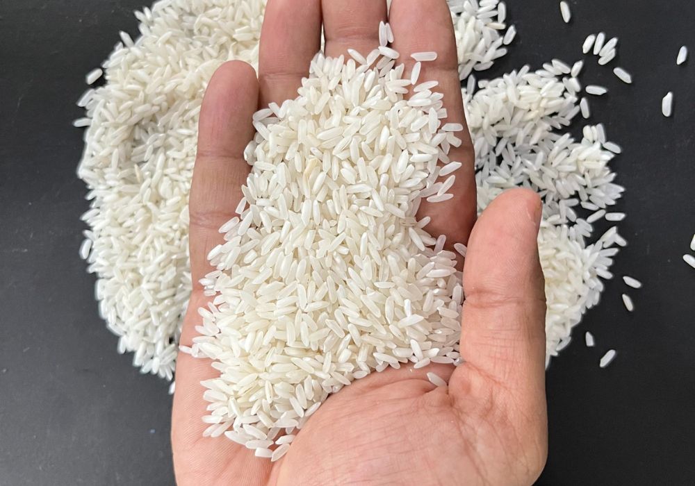 Rice 5% Broken 