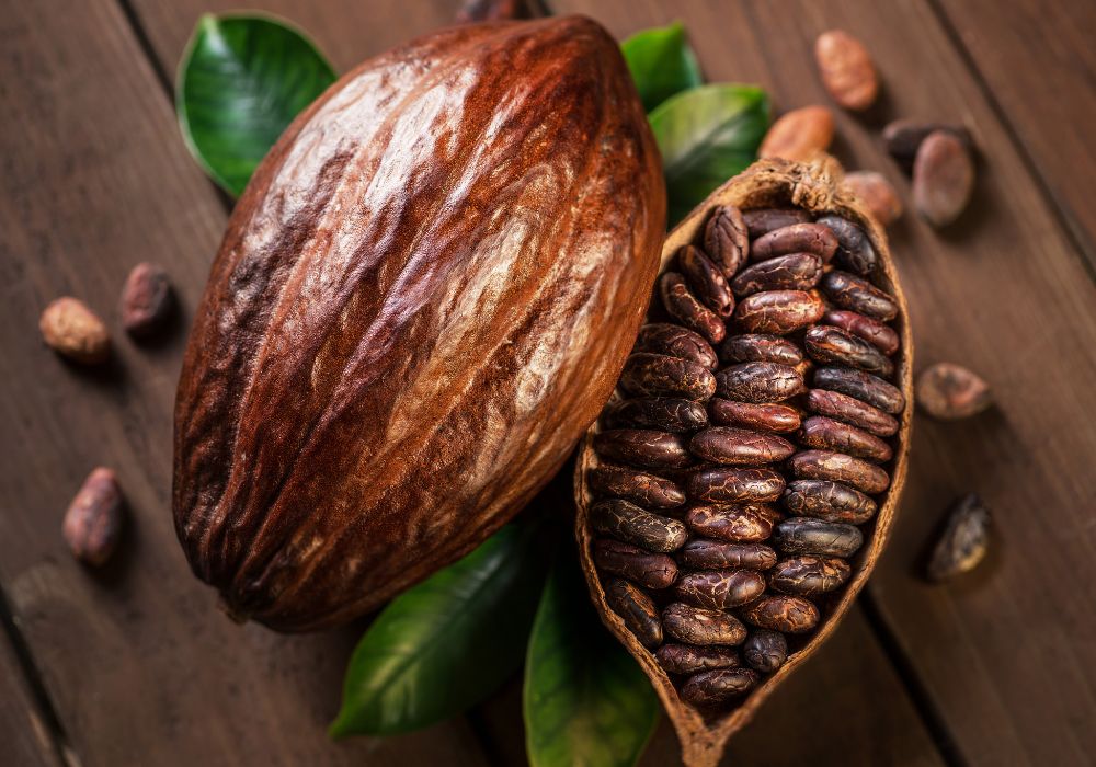 Cocoa