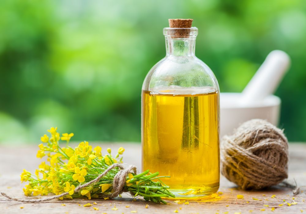 Canola Oil